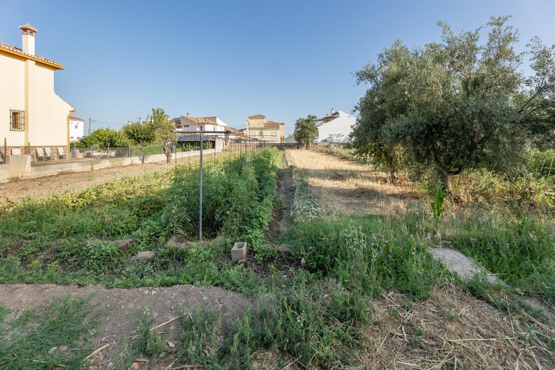 Terreno urbano