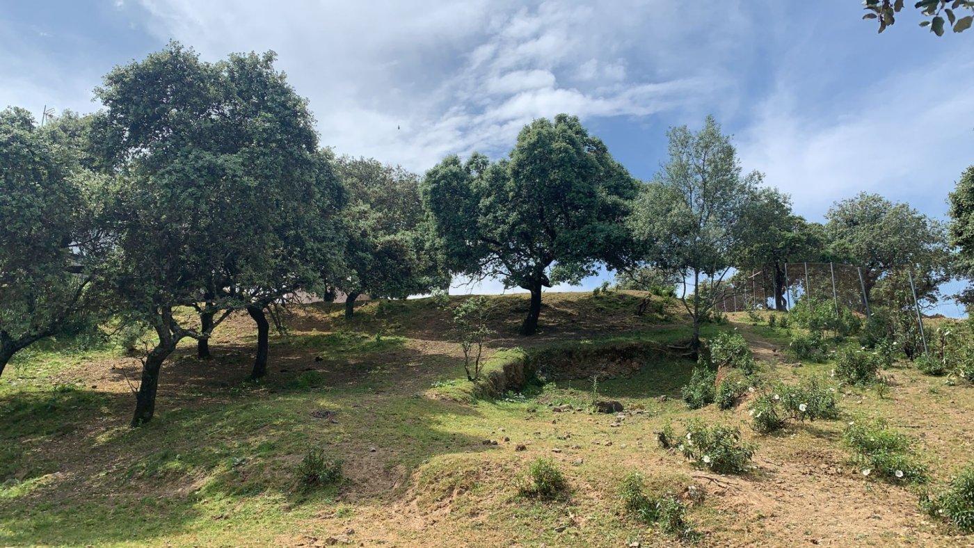 Terreno urbano