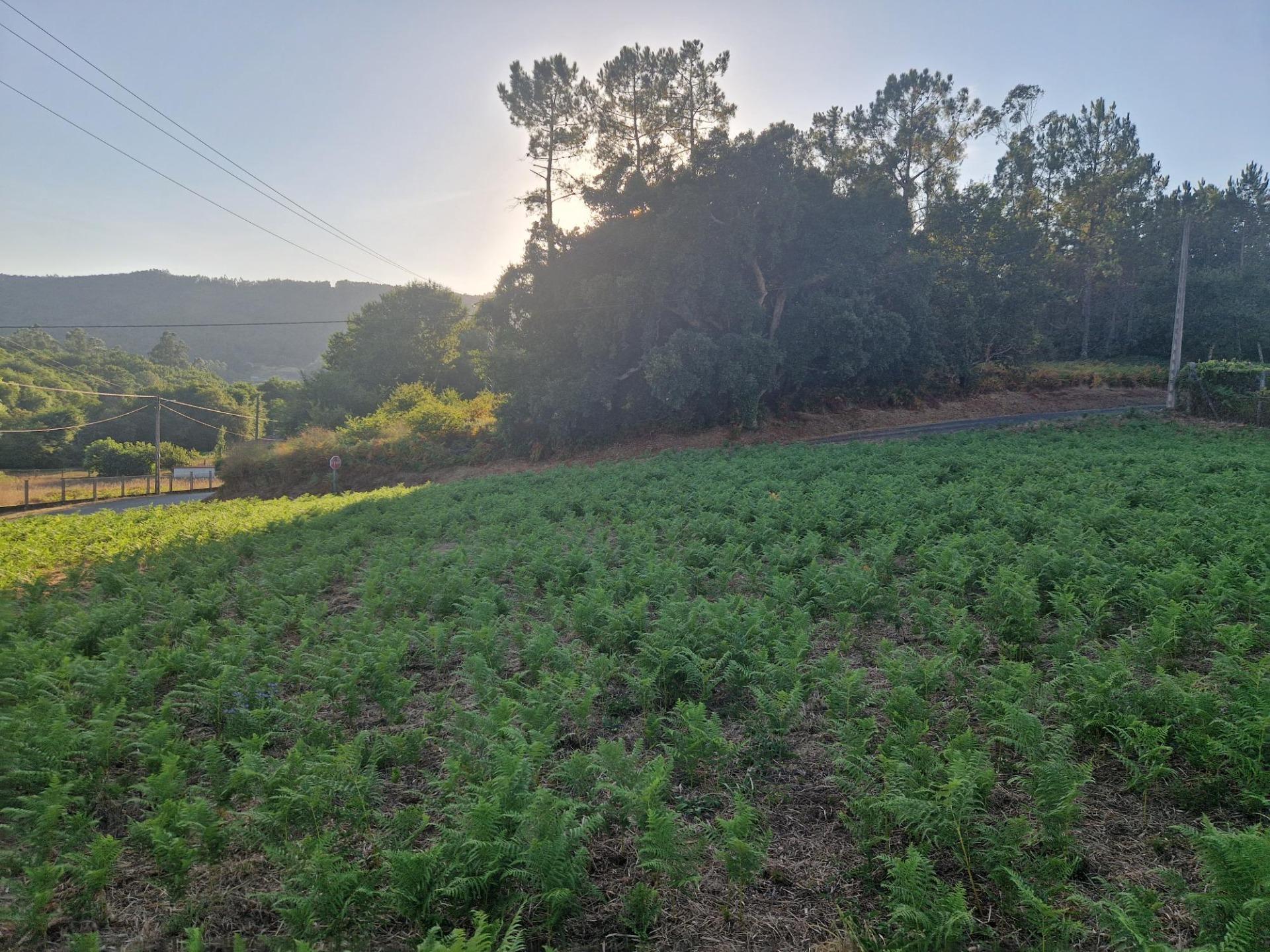Terreno urbano